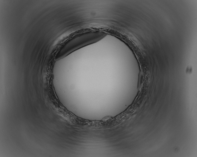 X0000089420920200707131819