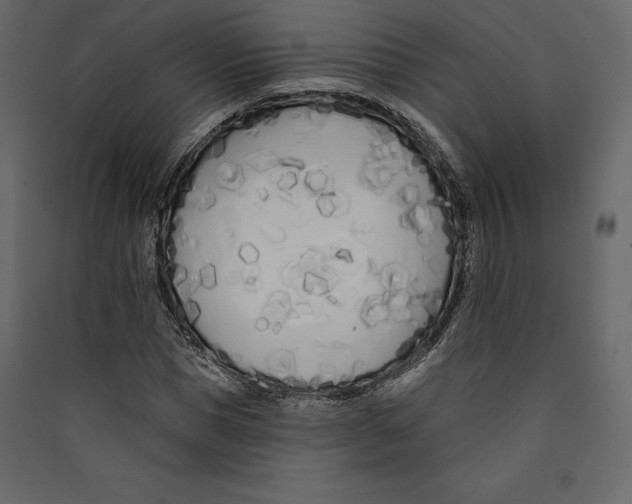 X0000089420921200707131819