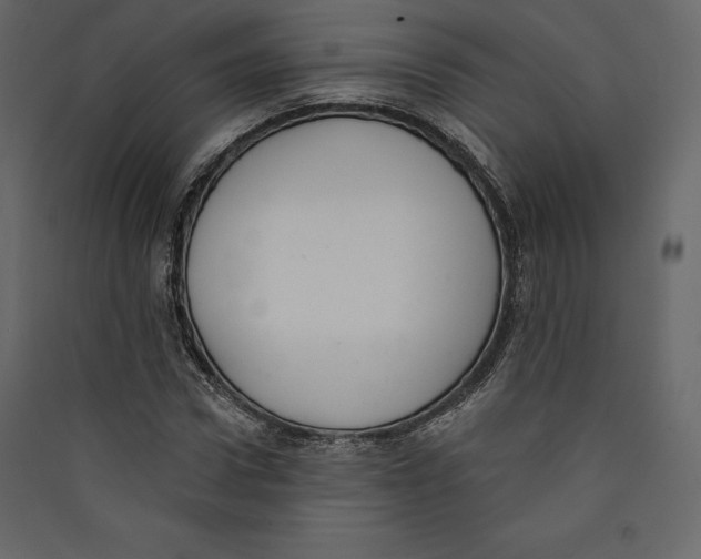 X0000089420922200707131819