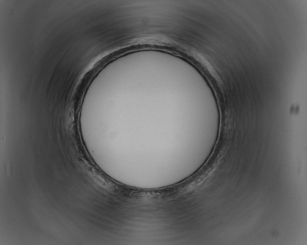 X0000089420923200707131819