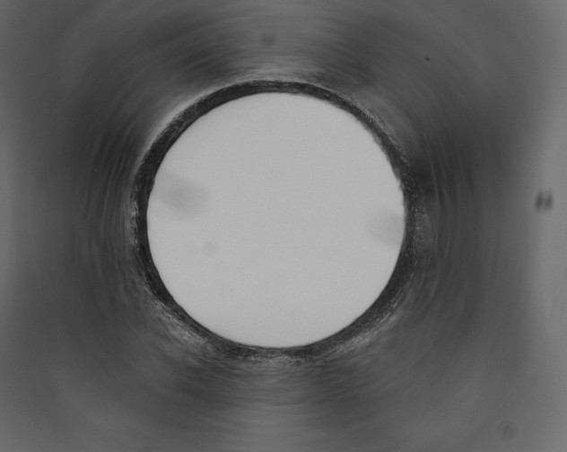 X0000089420926200707131819