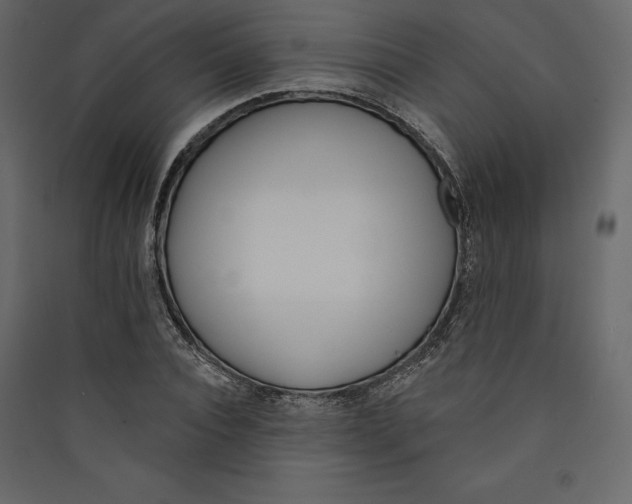 X0000089420928200707131819