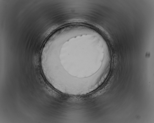X0000089420929200707131819