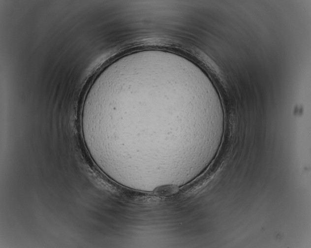 X0000089420930200707131819