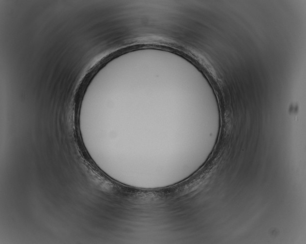 X0000089420931200707131819