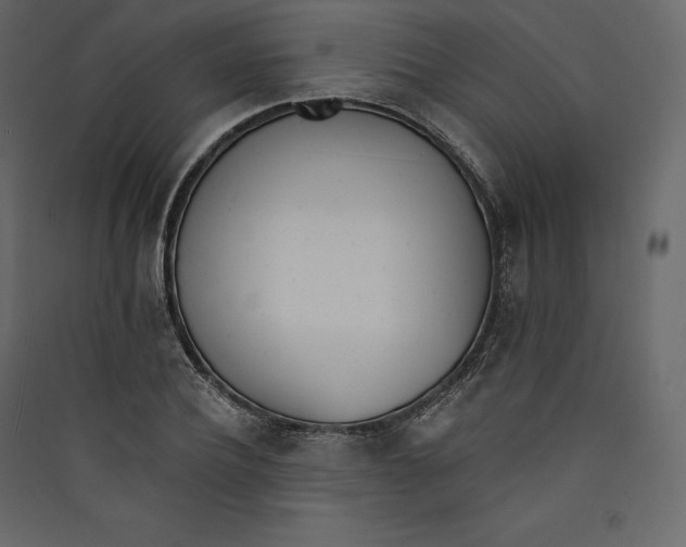 X0000089420932200707131819