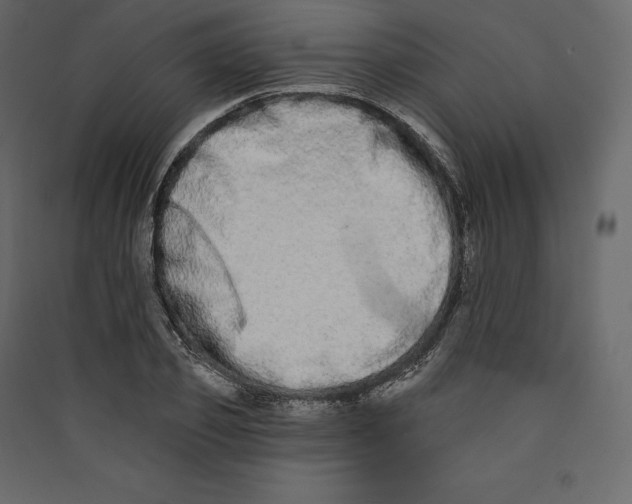 X0000089420933200707131819