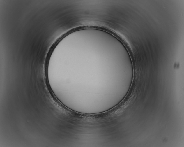 X0000089420935200707131819