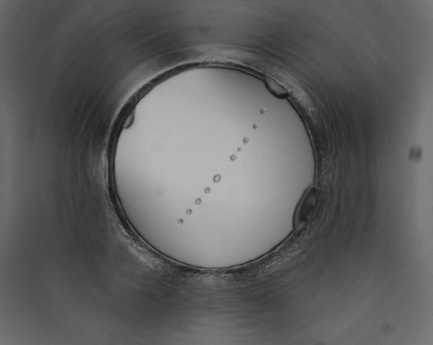 X0000089420936200707131819