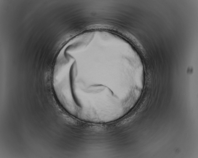 X0000089420937200707131819