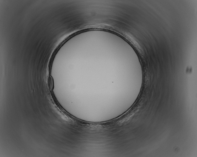 X0000089420940200707131819
