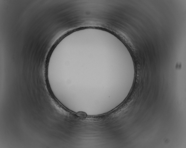 X0000089420942200707131819