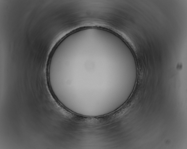 X0000089420943200707131819