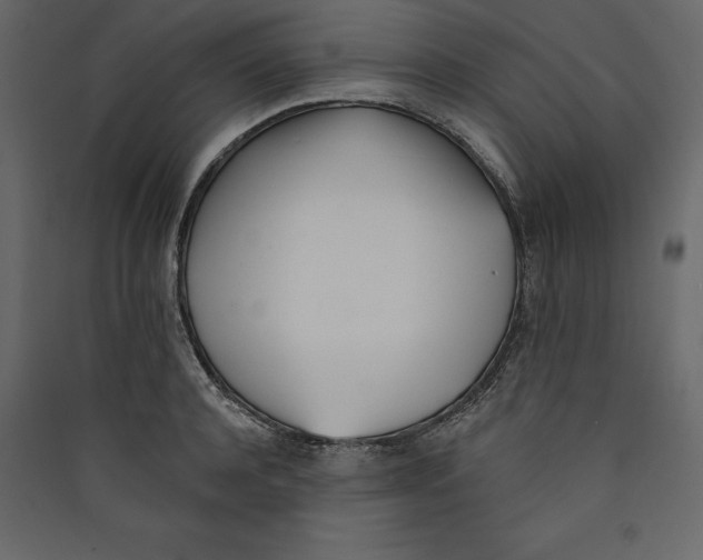 X0000089420944200707131819
