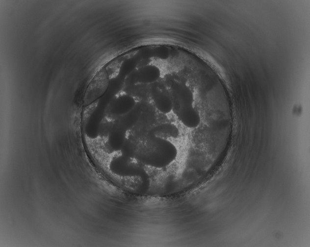 X0000089420945200707131819