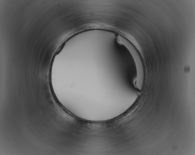 X0000089420946200707131819