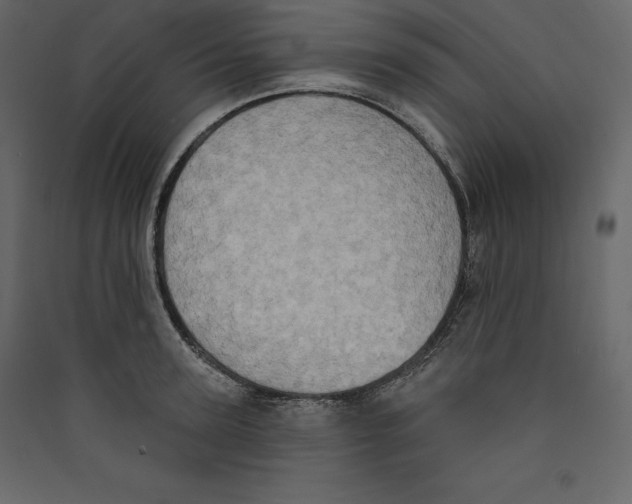 X0000089420947200707131819