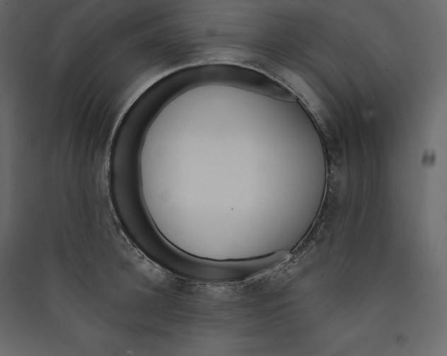 X0000089420948200707131819