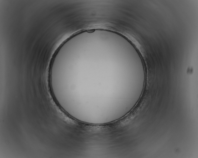 X0000089420949200707131819