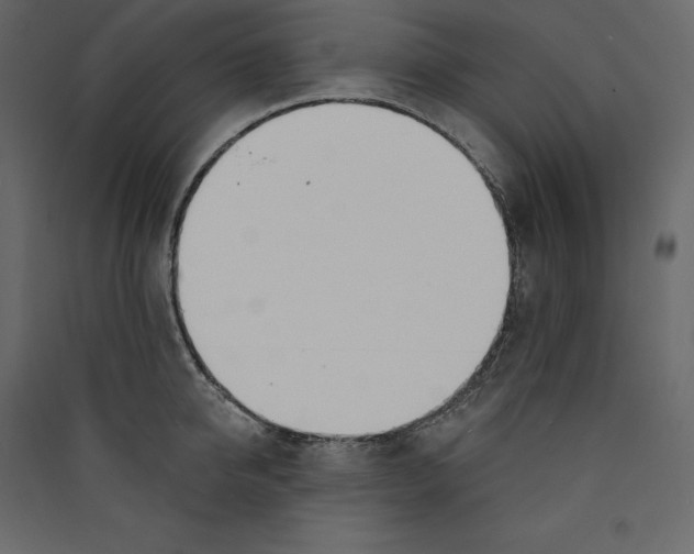 X0000089420950200707131819