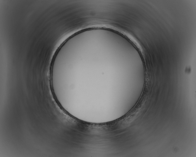 X0000089420951200707131819