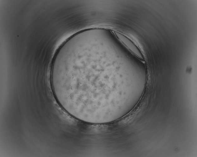 X0000089420952200707131819