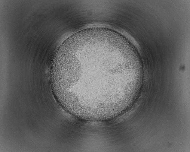 X0000089420953200707131819