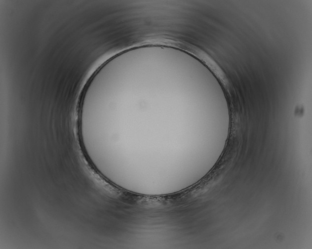 X0000089420955200707131819