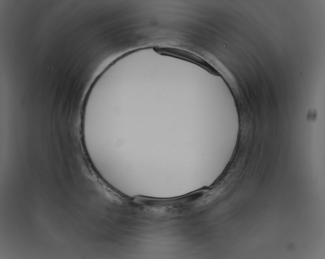 X0000089420956200707131819