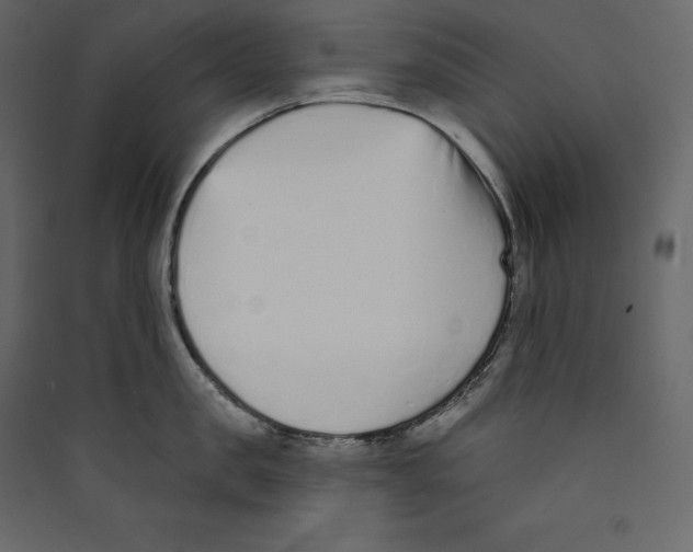 X0000089420957200707131819