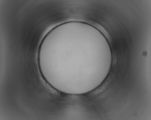 X0000089420958200707131819