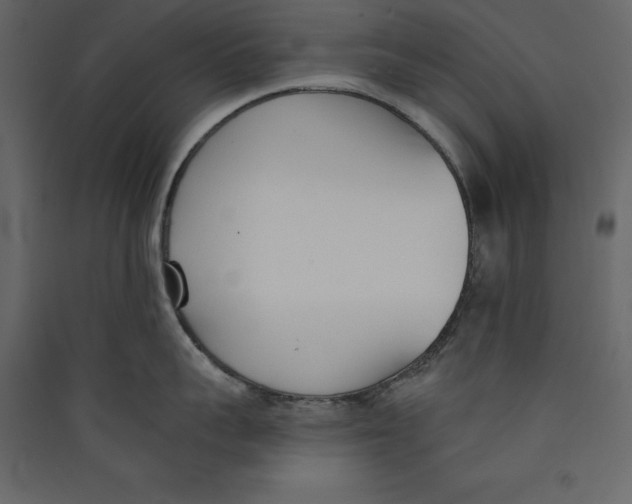 X0000089420959200707131819