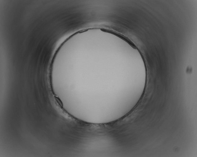 X0000089420960200707131819