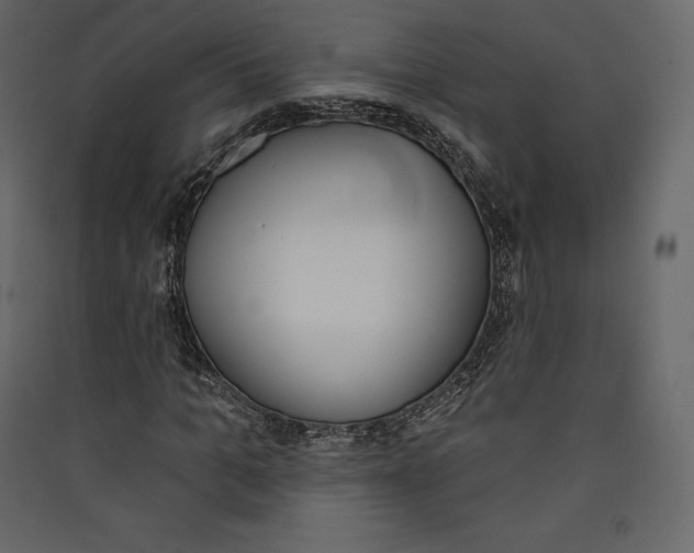 X0000089420965200707131819