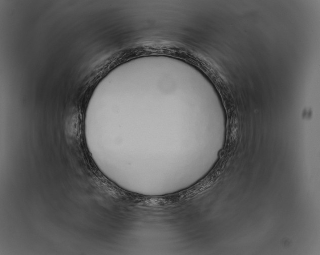 X0000089420966200707131819