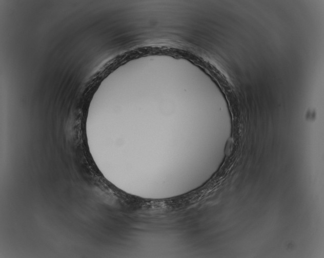 X0000089420968200707131819