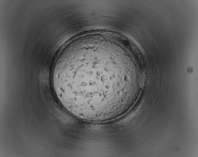 X0000089420969200707131819