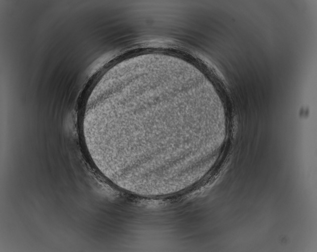 X0000089420970200707131819