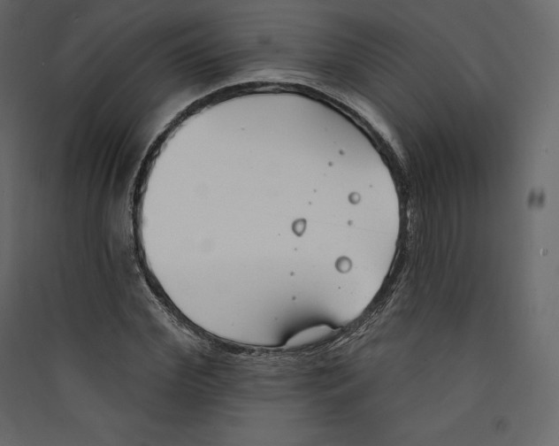 X0000089420972200707131819