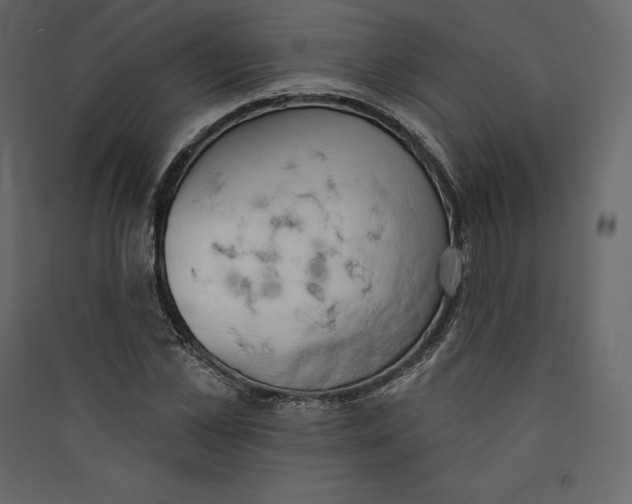 X0000089420973200707131819