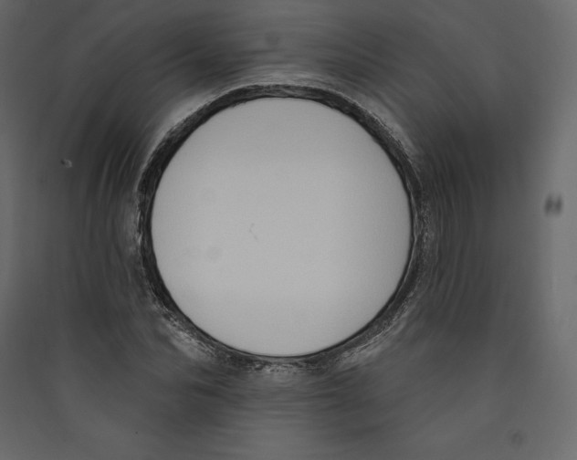 X0000089420974200707131819