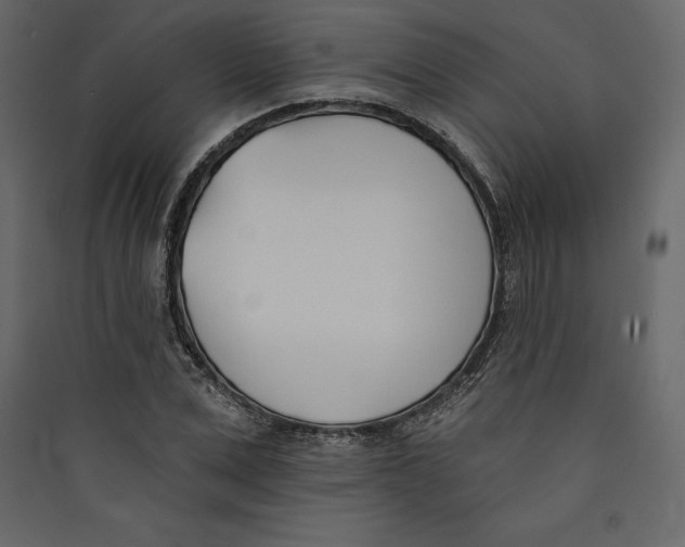 X0000089420975200707131819