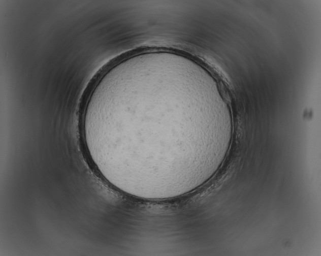 X0000089420976200707131819