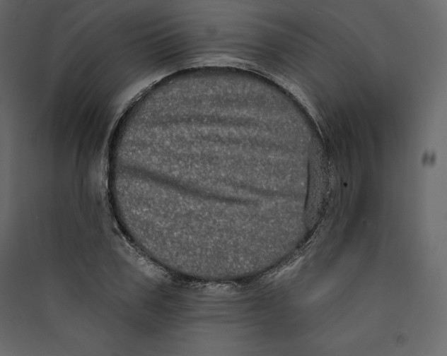 X0000089420979200707131819