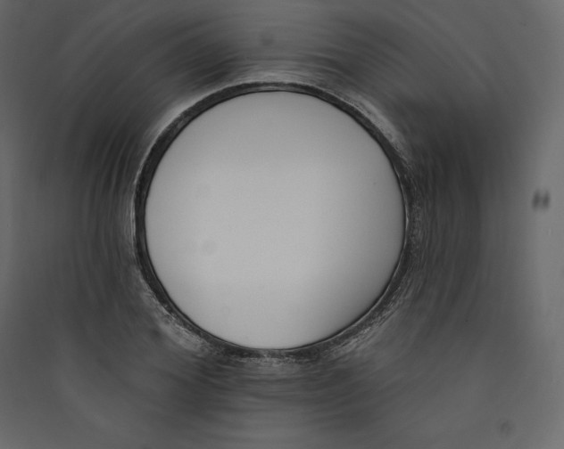 X0000089420980200707131819