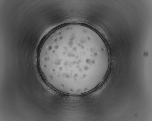 X0000089420981200707131819
