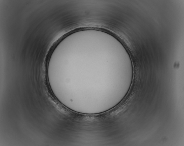 X0000089420982200707131819