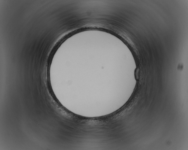 X0000089420984200707131819