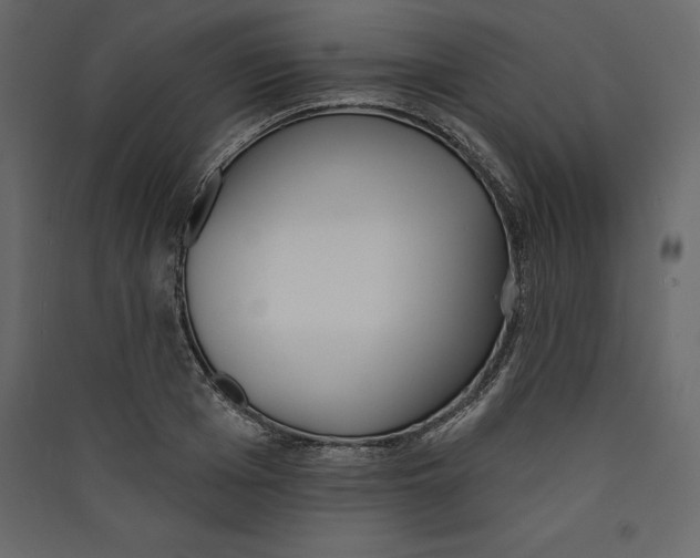 X0000089420985200707131819