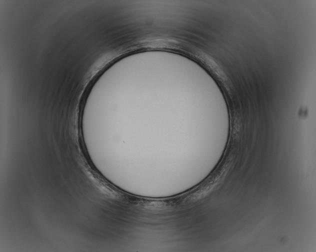 X0000089420986200707131819